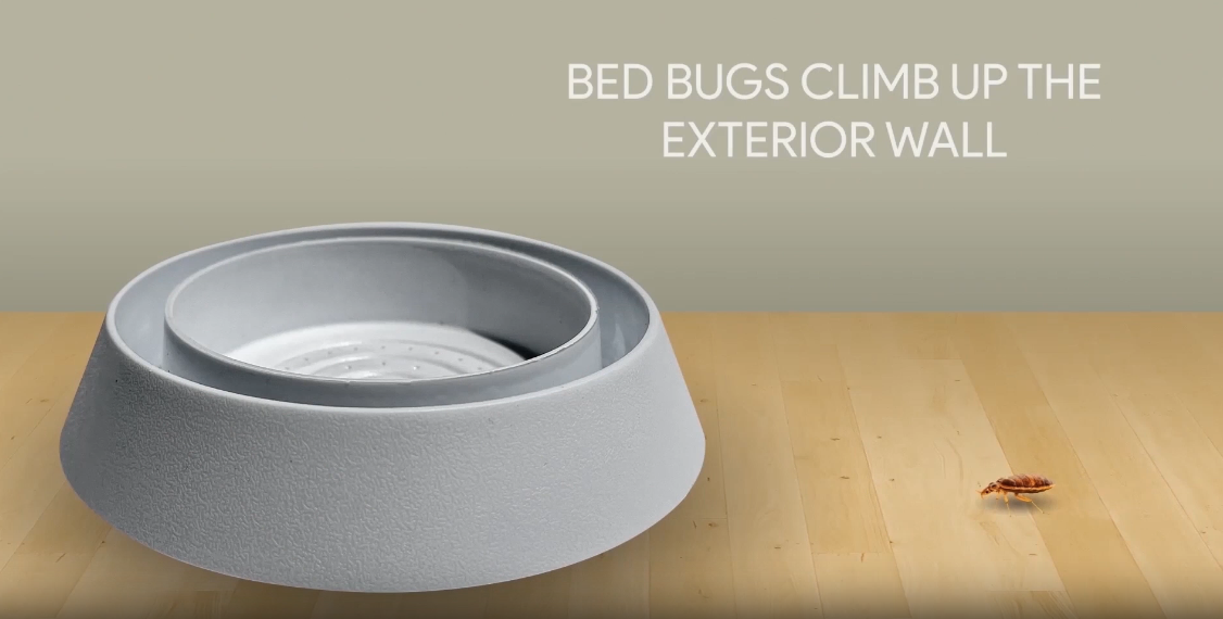 Amazon.com : Bed Bug Interceptor Traps – XL White 4-Pack Passive
